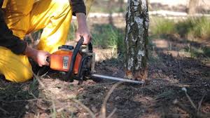 Best Lot and Land Clearing  in Blue Earth, MN