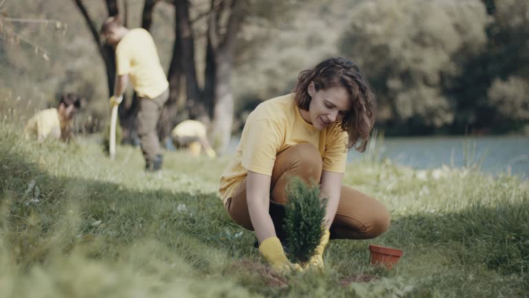 Lawn Pest Prevention in Blue Earth, MN