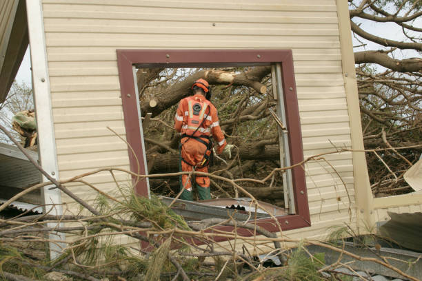 How Our Tree Care Process Works  in  Blue Earth, MN